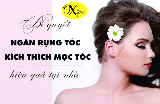 Cách trị rụng tóc hiệu quả tại nhà